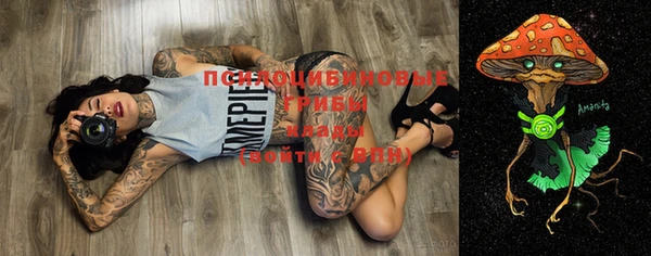 ECSTASY Осташков